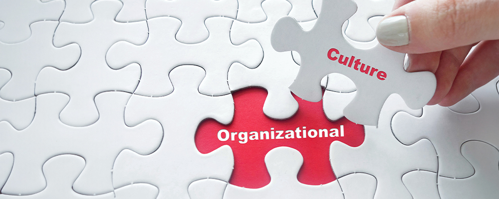 Organization Culture Puzzle Pieces