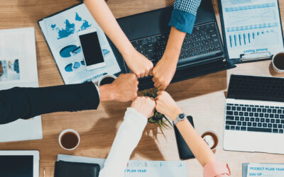 Organizational Flexibility