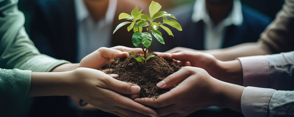 Group of people holding a small dirt mound with a plant in it together