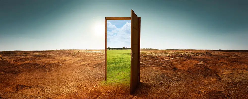 Open wooden door to the new world with green environment