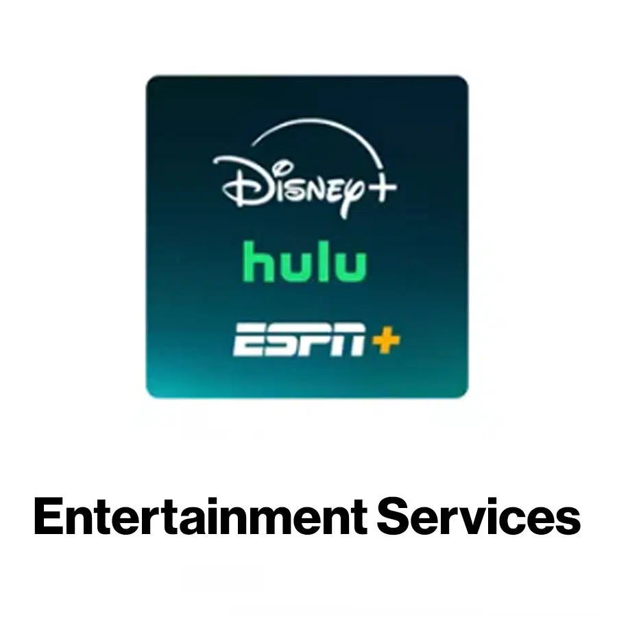 Entertainment Services