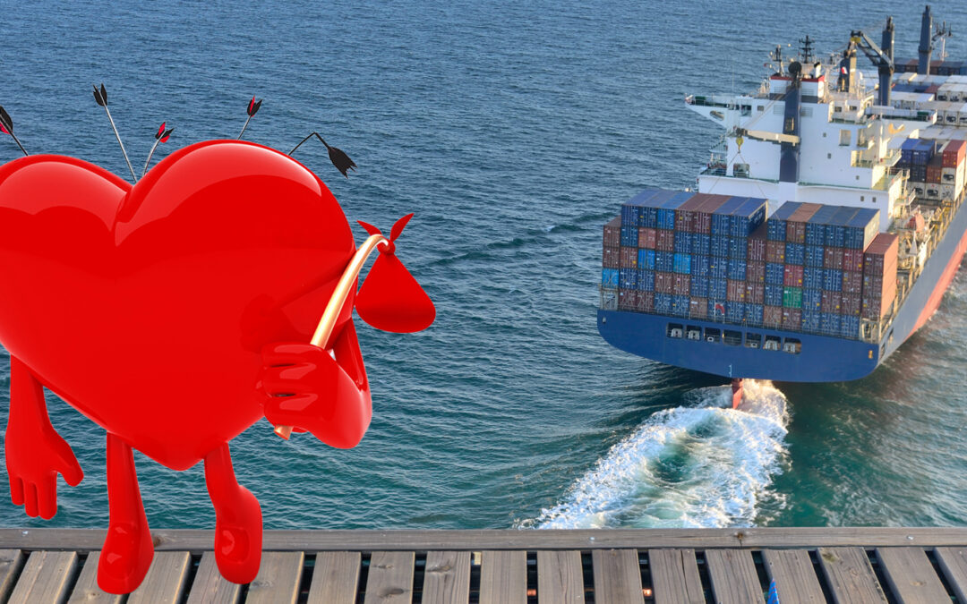 You’ll Find Love Again, Even If You Don’t Find Your Phone