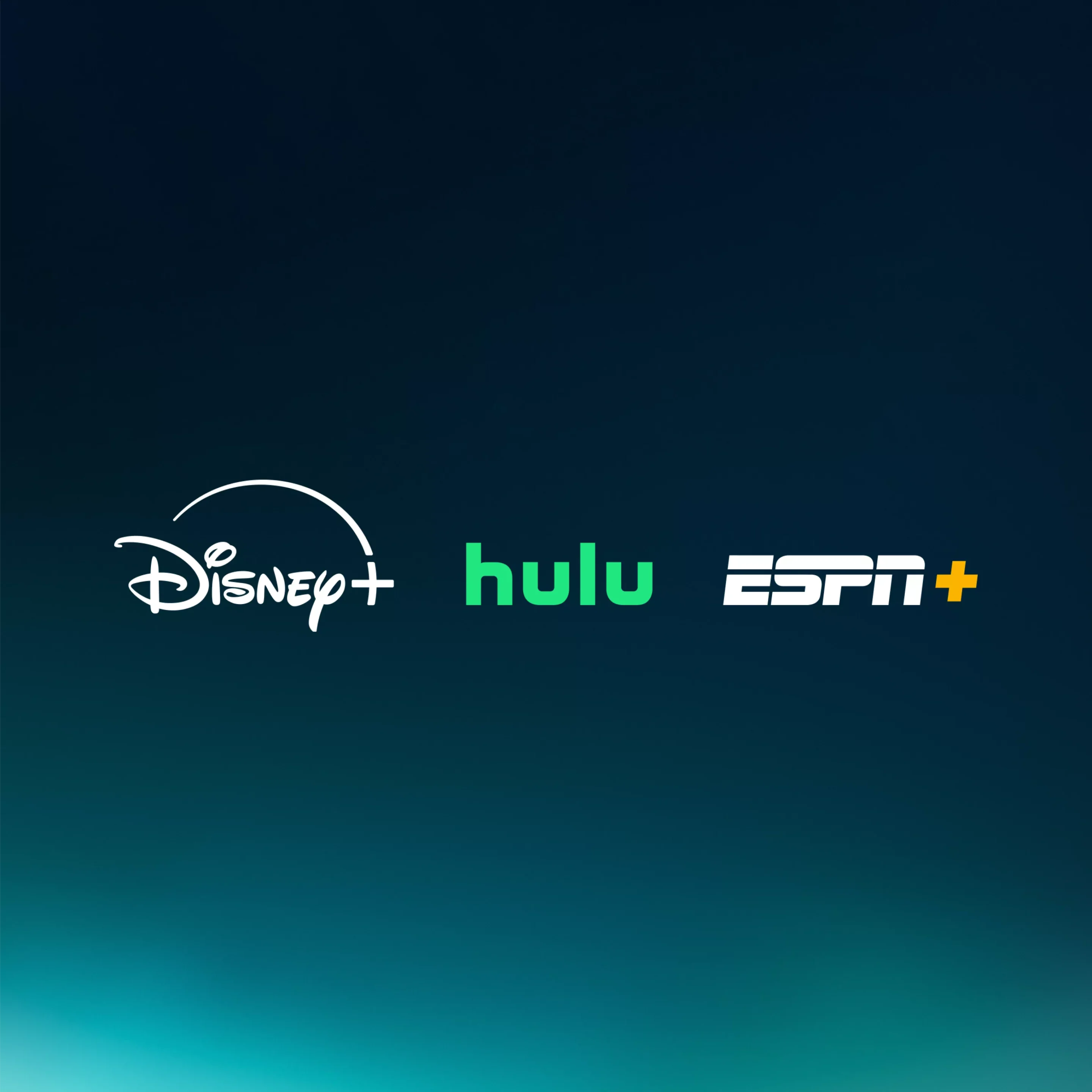 Disney Bundle